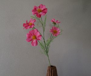 Cosmos 1