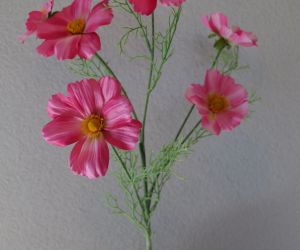 Cosmos 2