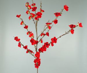 Bloesem rood 1