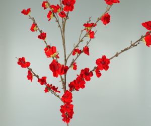 Bloesem rood 2