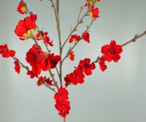Bloesem rood 3