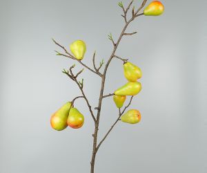 Peren tak 1