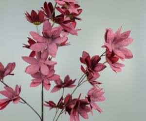 Large flower spray bordeaux 2