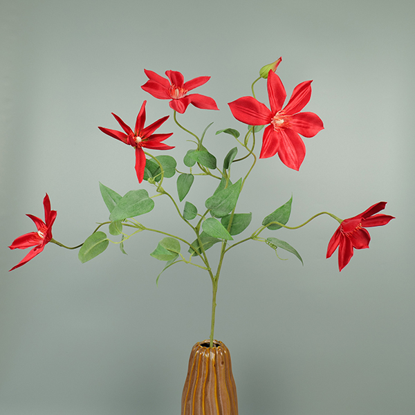 Clematis