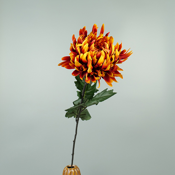 Chrysant