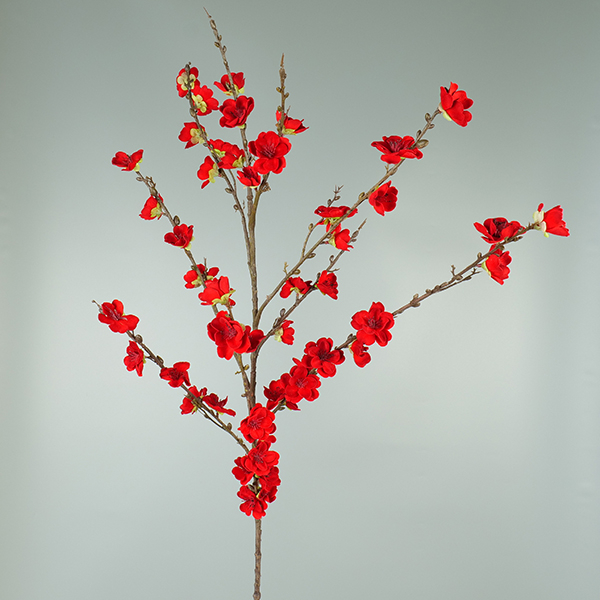 Bloesem rood