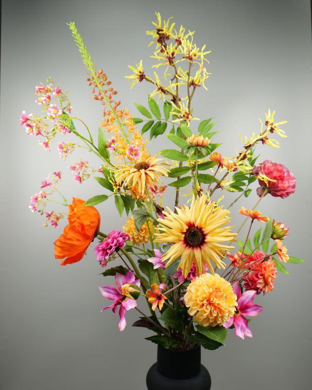 Voorjaar aster