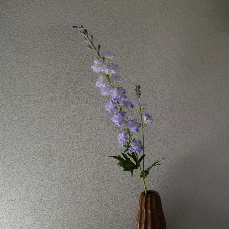 Delphinium lila