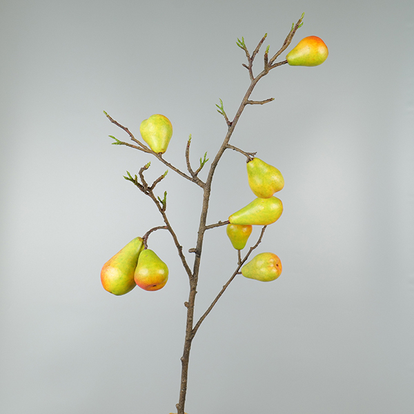 Peren tak
